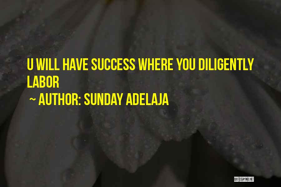 Work Diligently Quotes By Sunday Adelaja