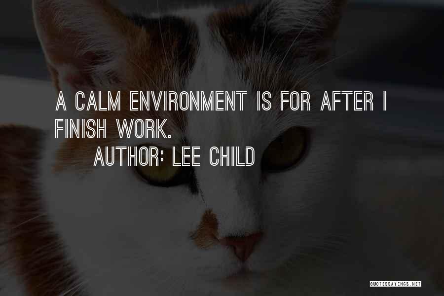 Work Environment Quotes By Lee Child