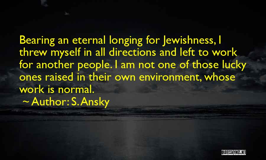 Work Environment Quotes By S. Ansky