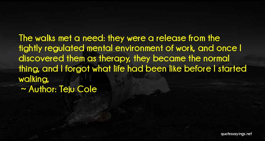 Work Environment Quotes By Teju Cole