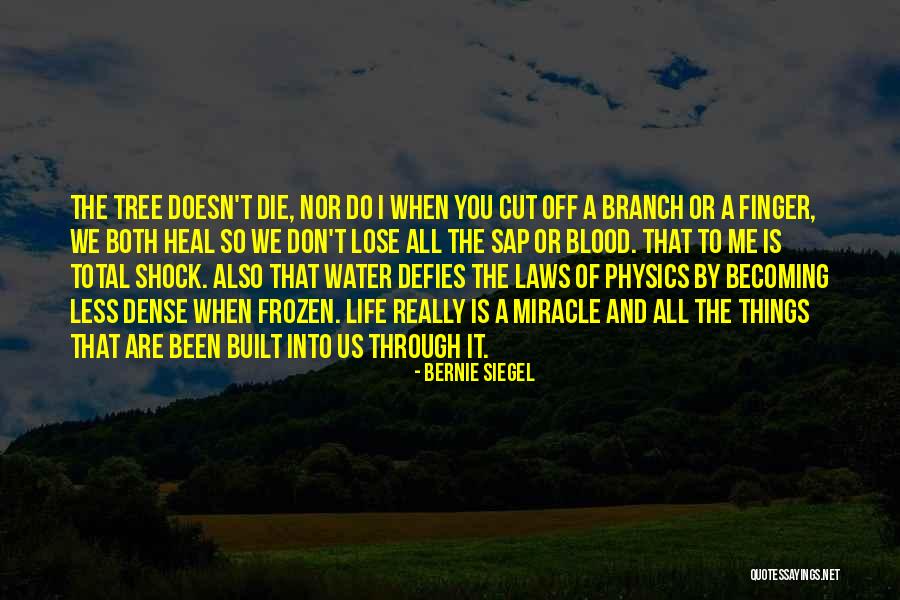Work Ethnics Quotes By Bernie Siegel Work Ethnics Quotes By Bernie Siegel