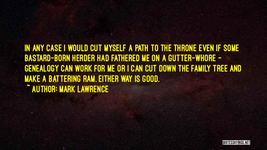 Work For Family Quotes By Mark Lawrence