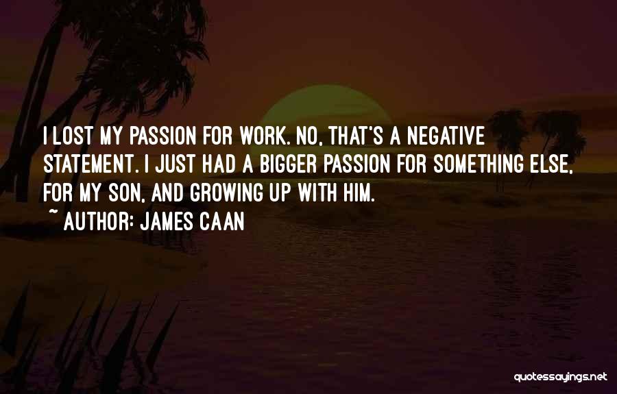 Work For Passion Quotes By James Caan