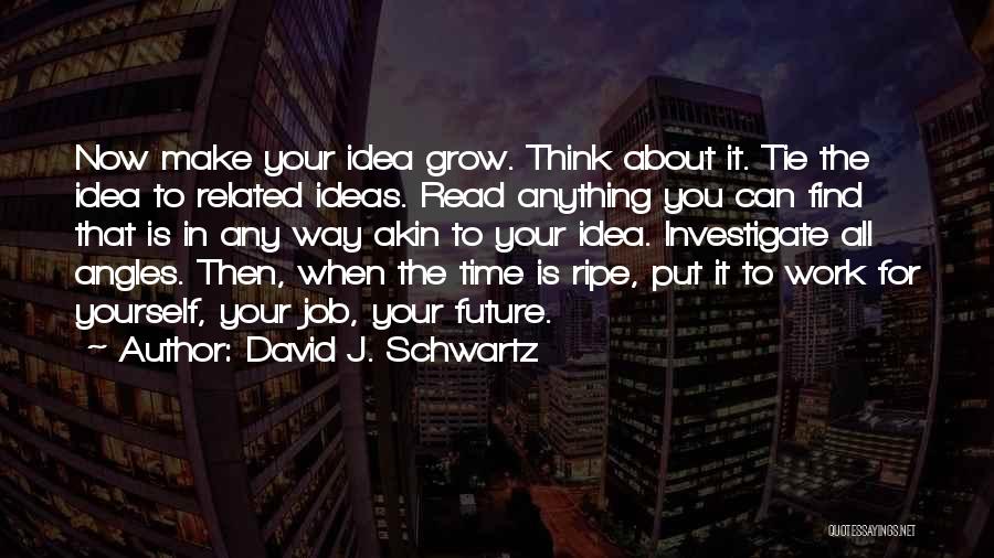 Work For Your Future Quotes By David J. Schwartz