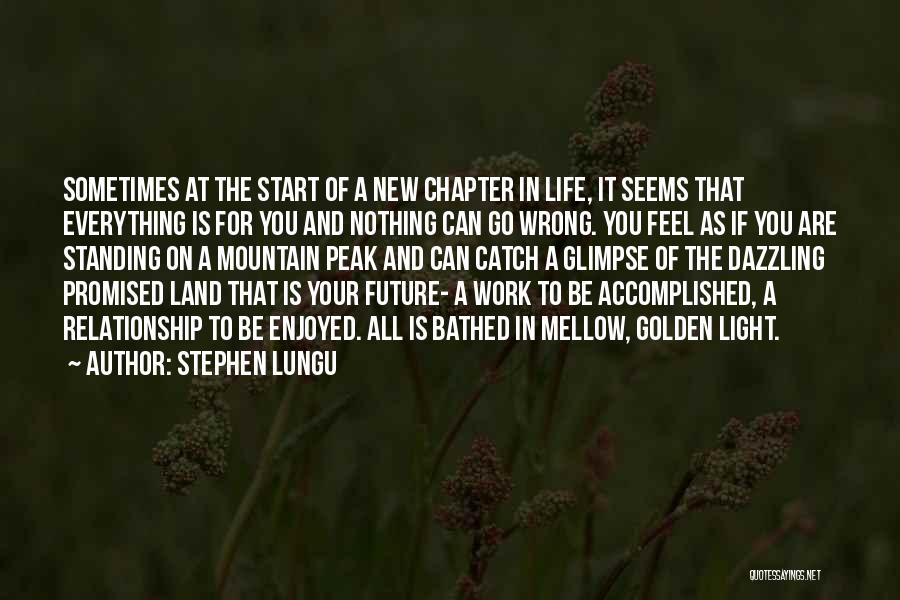Work For Your Future Quotes By Stephen Lungu