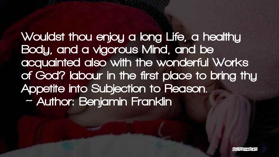 Work Hard And Enjoy Life Quotes By Benjamin Franklin