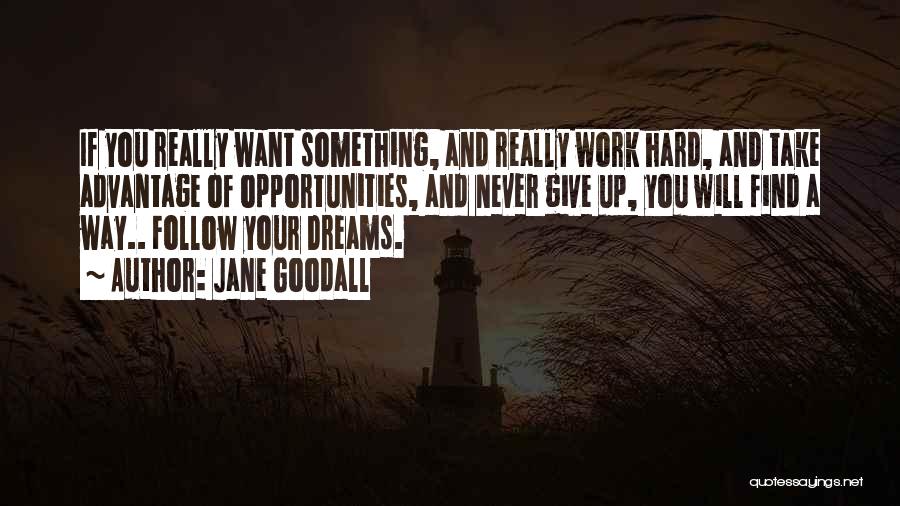 Work Hard For Your Dream Quotes By Jane Goodall