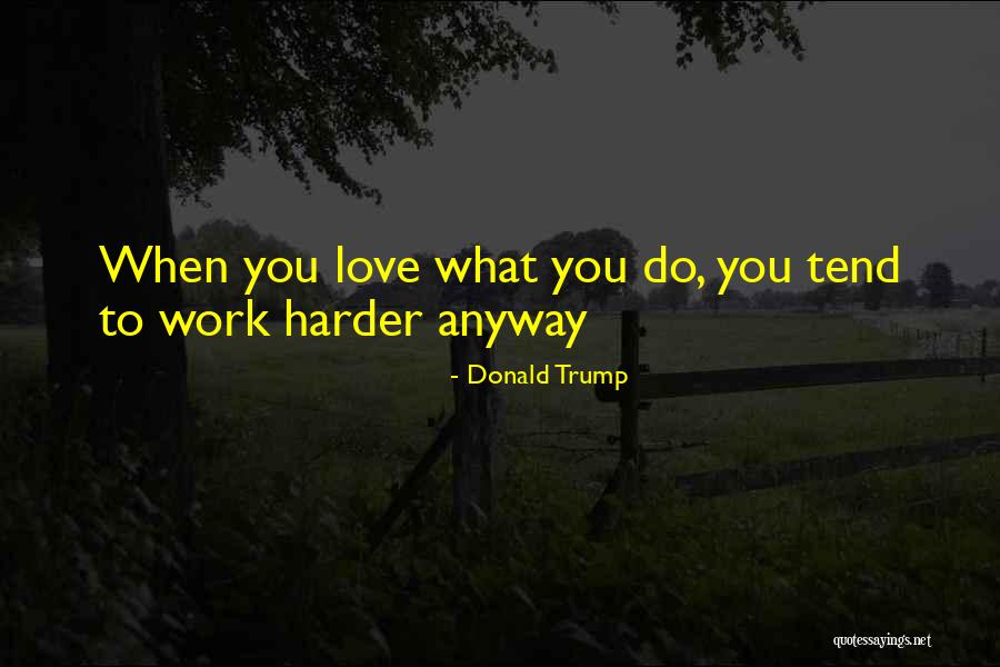 Work Hard Love Harder Quotes By Donald Trump
