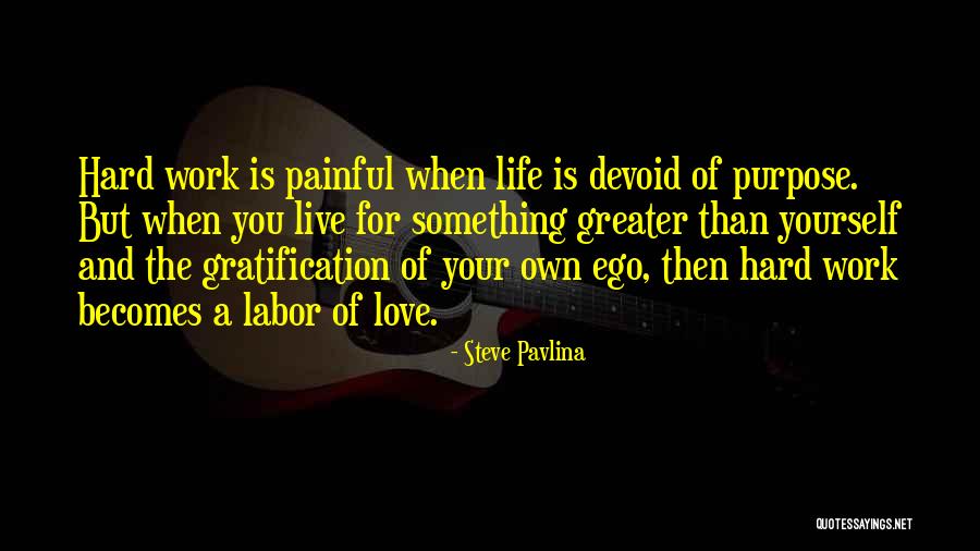 Work Hard Love Quotes By Steve Pavlina Work Hard Love Quotes By Steve Pavlina