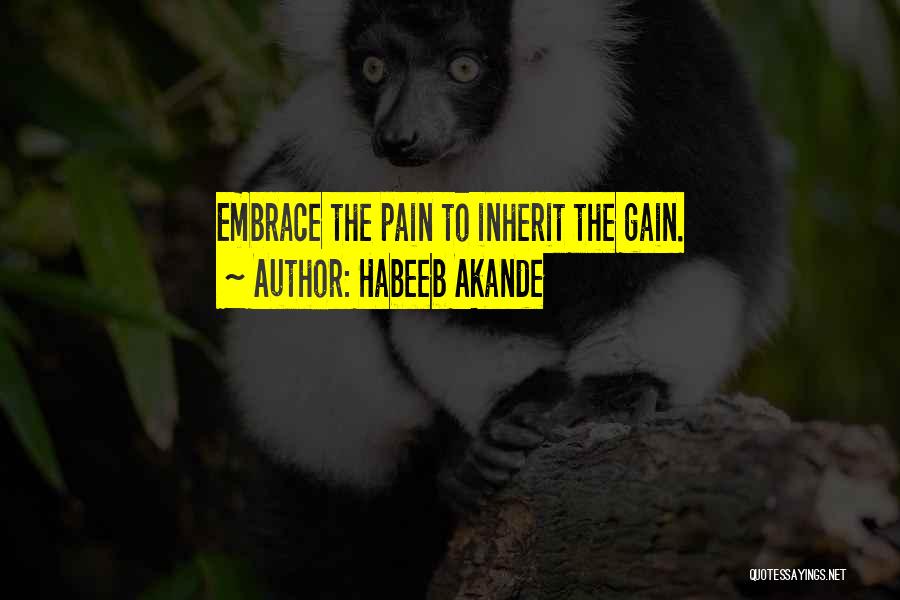 Work Hard Motivational Quotes By Habeeb Akande