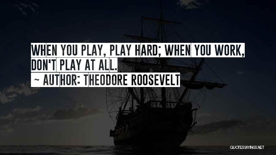 Work Hard Play Quotes By Theodore Roosevelt