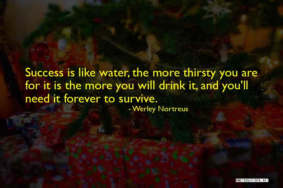 Work Hard You Will Success Quotes By Werley Nortreus