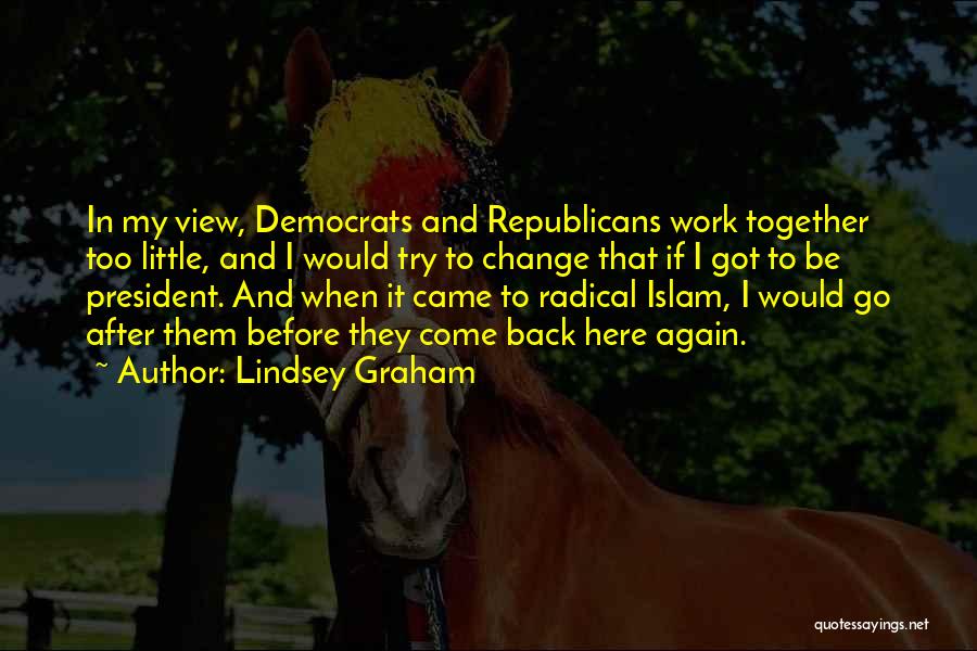 Work Here I Come Quotes By Lindsey Graham