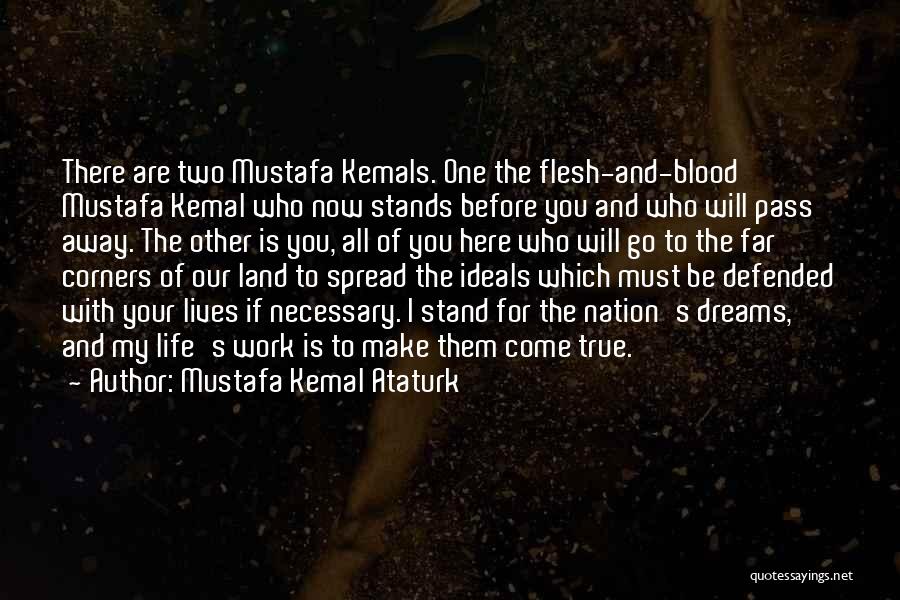 Work Here I Come Quotes By Mustafa Kemal Ataturk