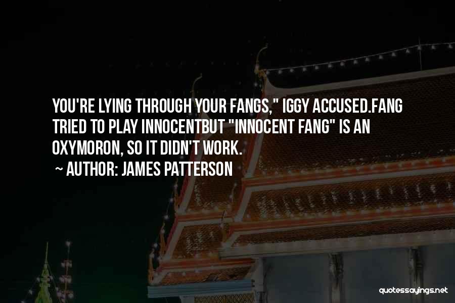 Work Iggy Quotes By James Patterson