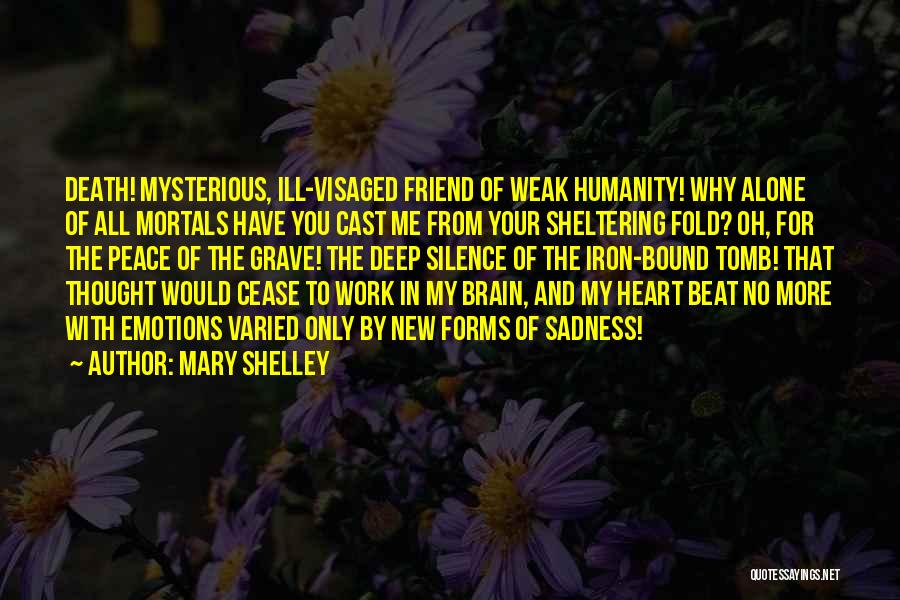 Work In Silence Quotes By Mary Shelley