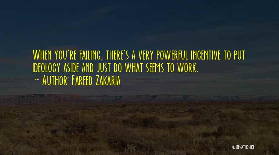 Work Incentive Quotes By Fareed Zakaria
