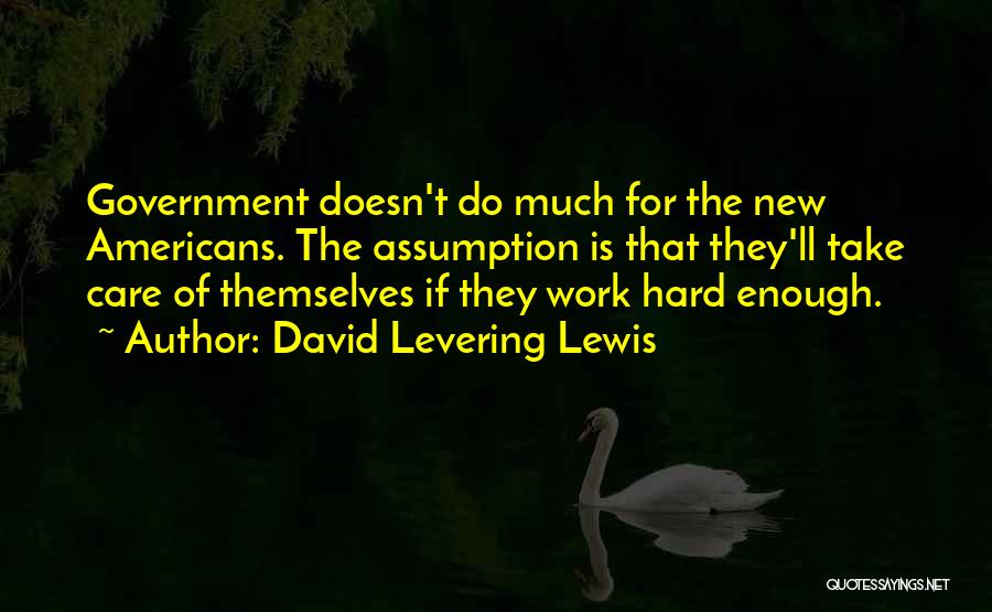 Work Is Hard Quotes By David Levering Lewis