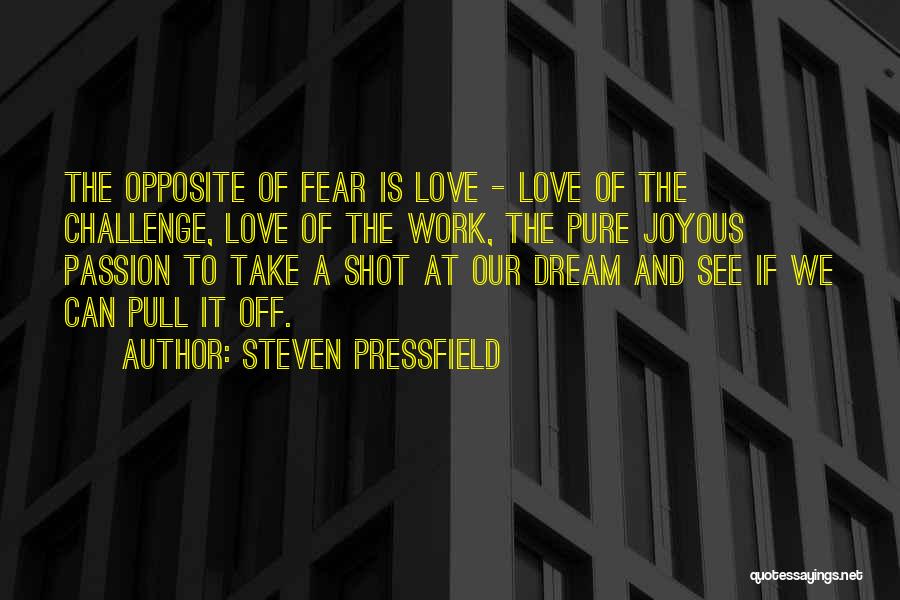 Work Is Passion Quotes By Steven Pressfield