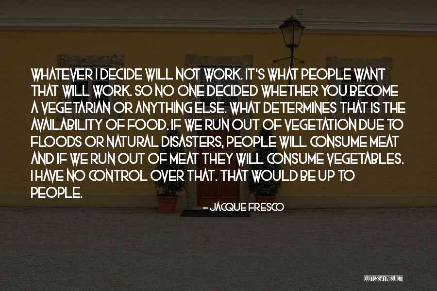 Work It Out Quotes By Jacque Fresco