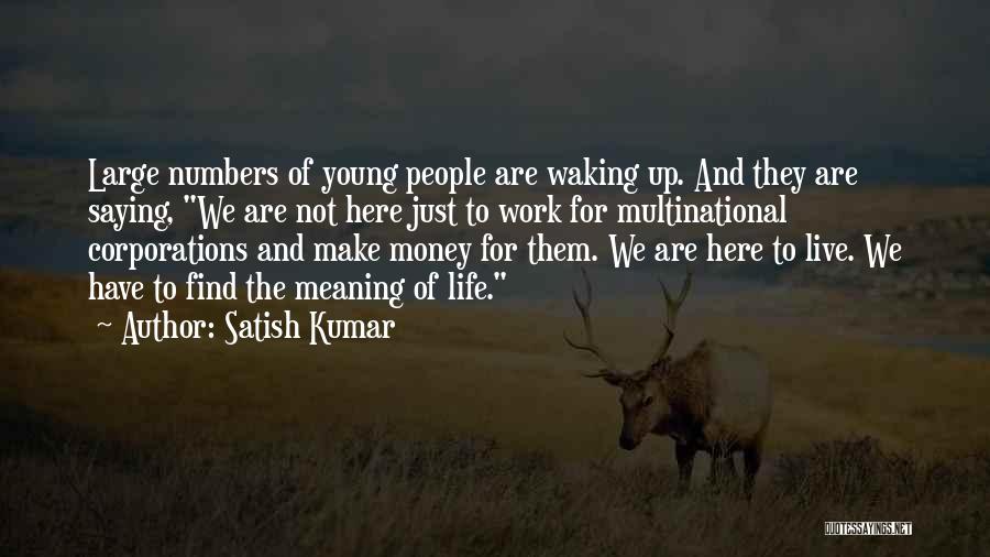 Work Not For Money Quotes By Satish Kumar
