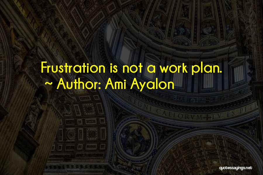 Work Plan Quotes By Ami Ayalon