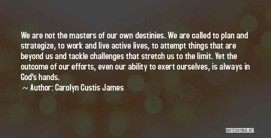 Work Plan Quotes By Carolyn Custis James