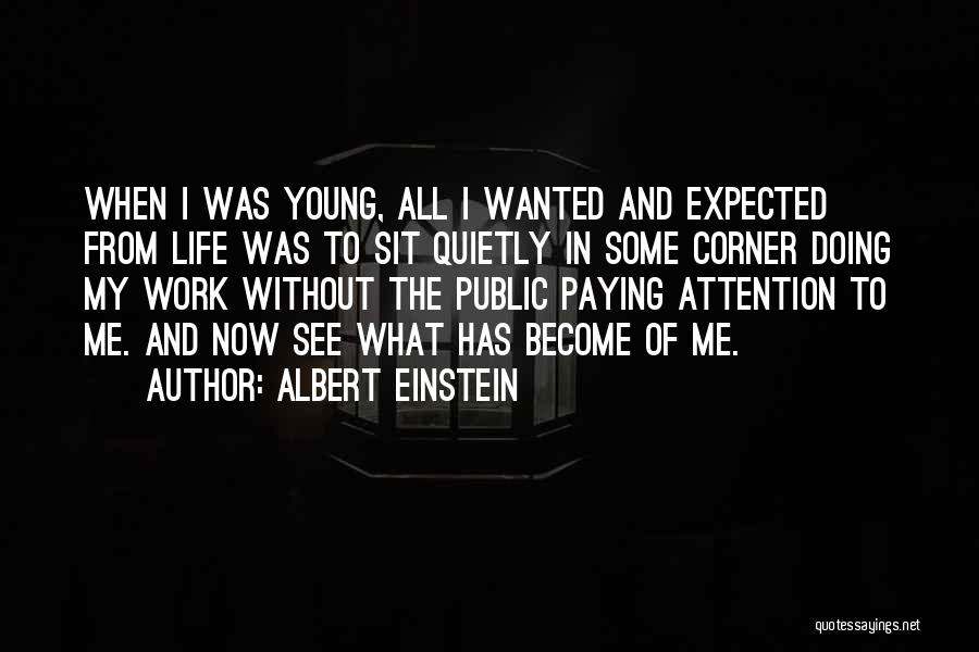 Work Quietly Quotes By Albert Einstein