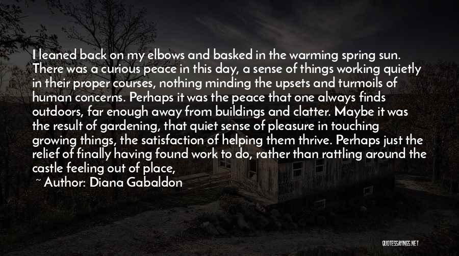 Work Quietly Quotes By Diana Gabaldon