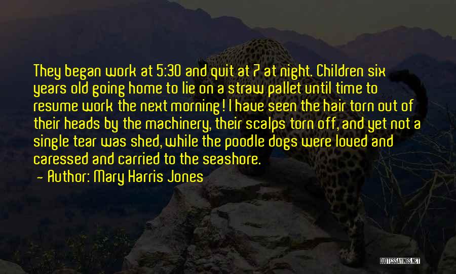 Work Resume Quotes By Mary Harris Jones