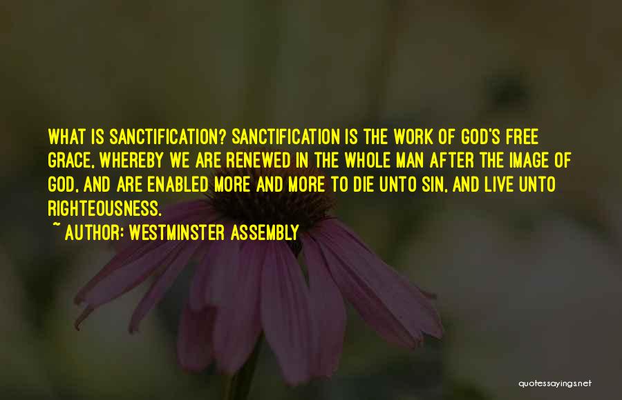 Work Righteousness Quotes By Westminster Assembly