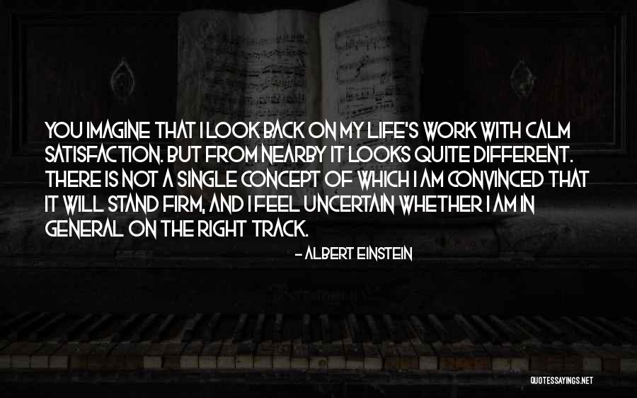 Work Satisfaction Quotes By Albert Einstein Work Satisfaction Quotes By Albert Einstein