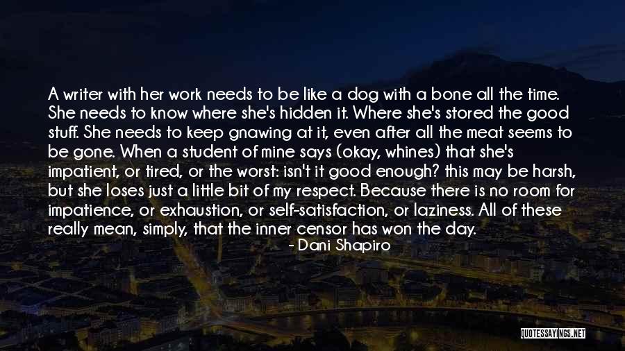 Work Satisfaction Quotes By Dani Shapiro Work Satisfaction Quotes By Dani Shapiro