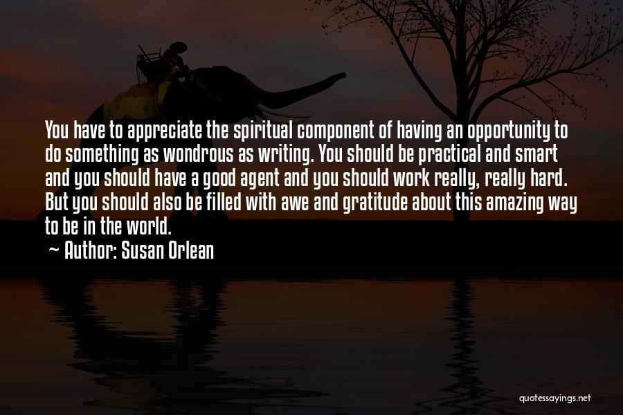 Work Smart Not Work Hard Quotes By Susan Orlean