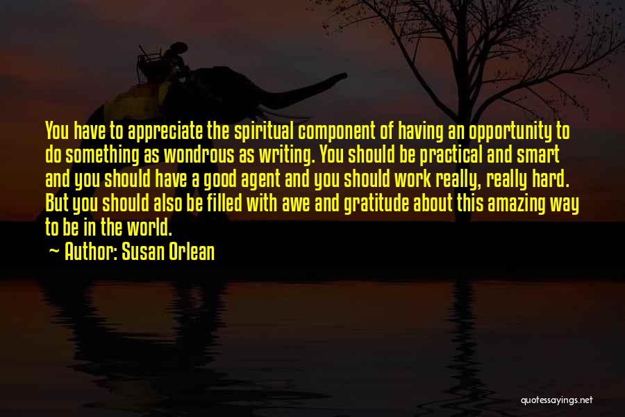 Work Smart Quotes By Susan Orlean