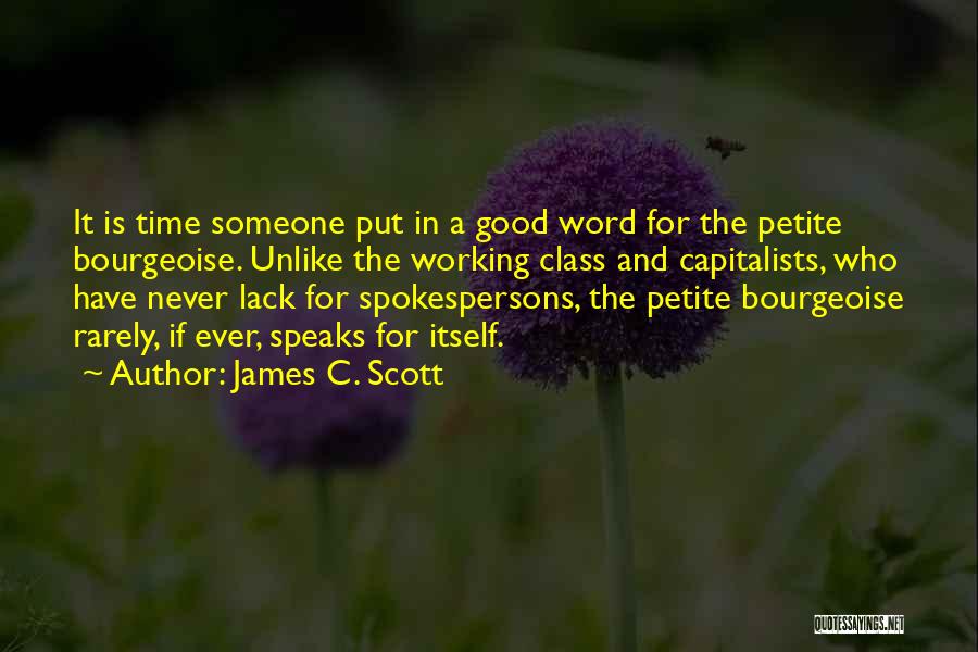 Work Speaks For Itself Quotes By James C. Scott