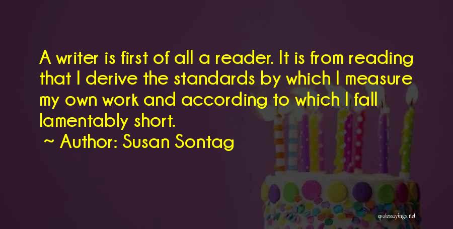 Work Standards Quotes By Susan Sontag