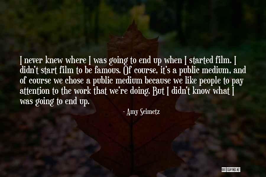 Work Started Quotes By Amy Seimetz Work Started Quotes By Amy Seimetz