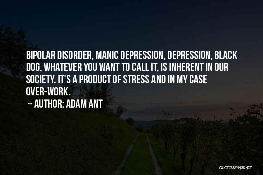 Work Stress Quotes By Adam Ant