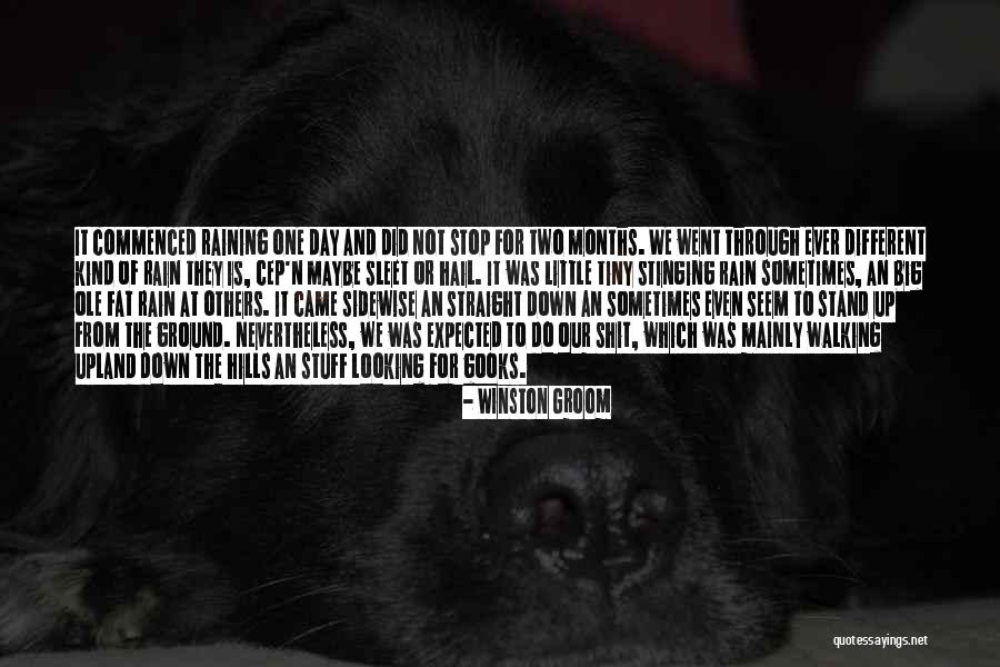 Work Through It Quotes By Winston Groom