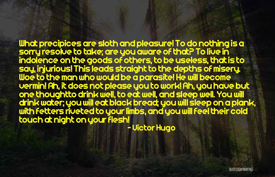 Work Well With Others Quotes By Victor Hugo Work Well With Others Quotes By Victor Hugo