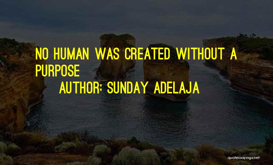 Work Without Money Quotes By Sunday Adelaja