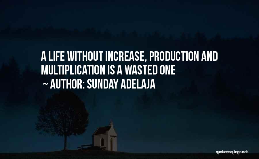 Work Without Money Quotes By Sunday Adelaja