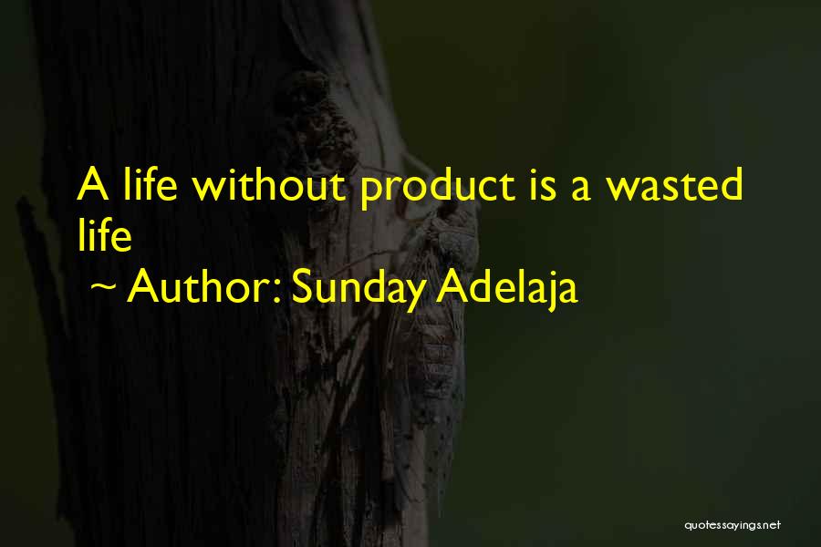 Work Without Money Quotes By Sunday Adelaja