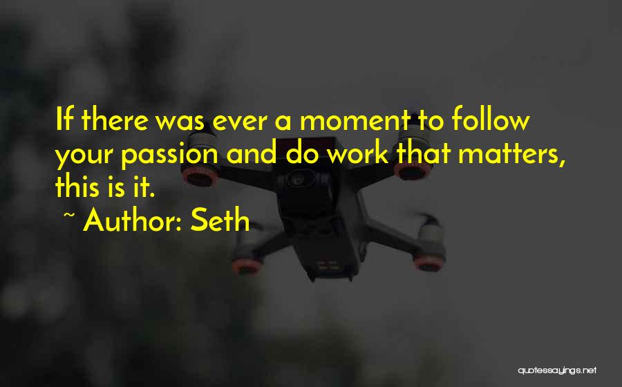 Work Your Passion Quotes By Seth