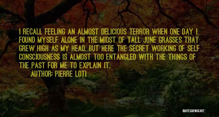 Working Alone Quotes By Pierre Loti