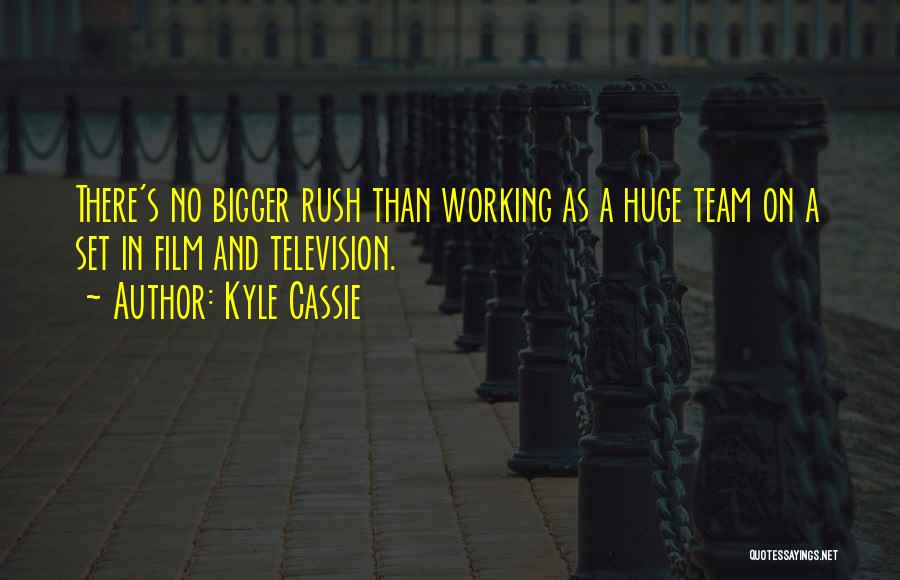 Working As A Team Quotes By Kyle Cassie