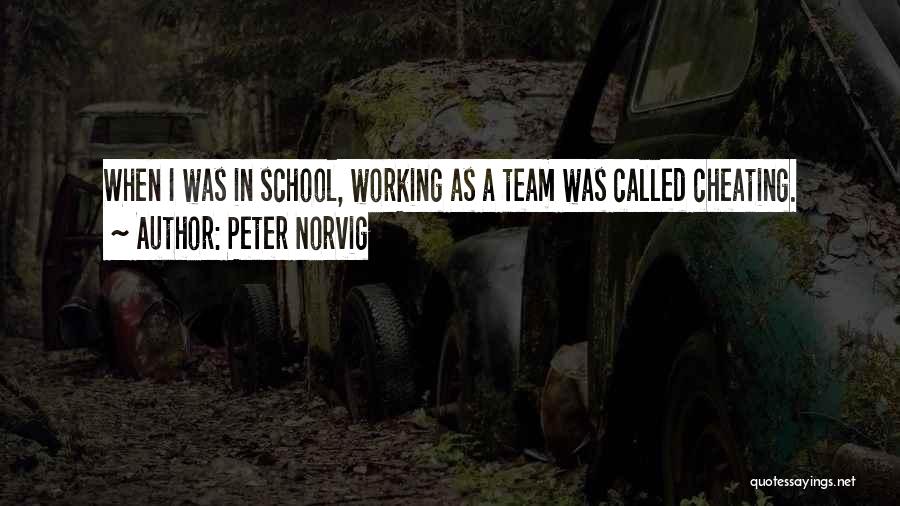Working As A Team Quotes By Peter Norvig