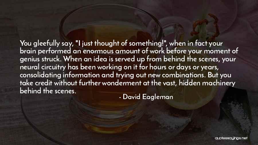 Working Behind The Scenes Quotes By David Eagleman