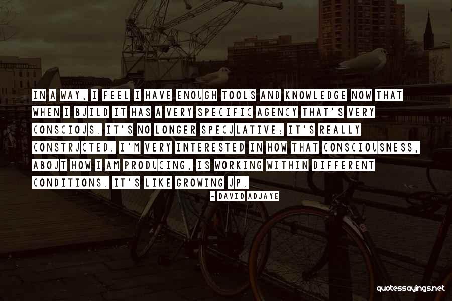 Working Conditions Quotes By David Adjaye Working Conditions Quotes By David Adjaye